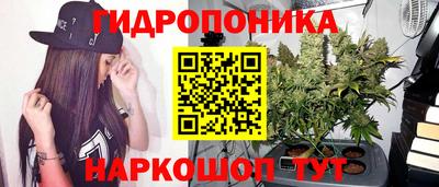 кристаллы Новодвинск