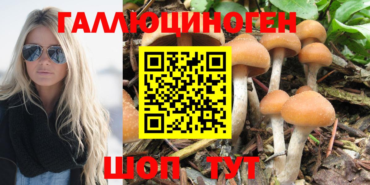 Псилоцибиновые грибы ЛСД  Вход с VPN  Шарыпово  Псилоцибиновые грибы Psilocybine cubensis 