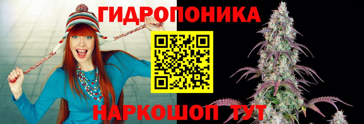Канабис индика  Конопля план  Вход с VPN  Шарыпово 